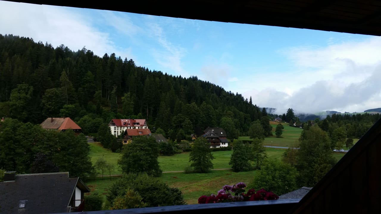 Toller Ausblick Gästehaus Schwarzwaldhüsle