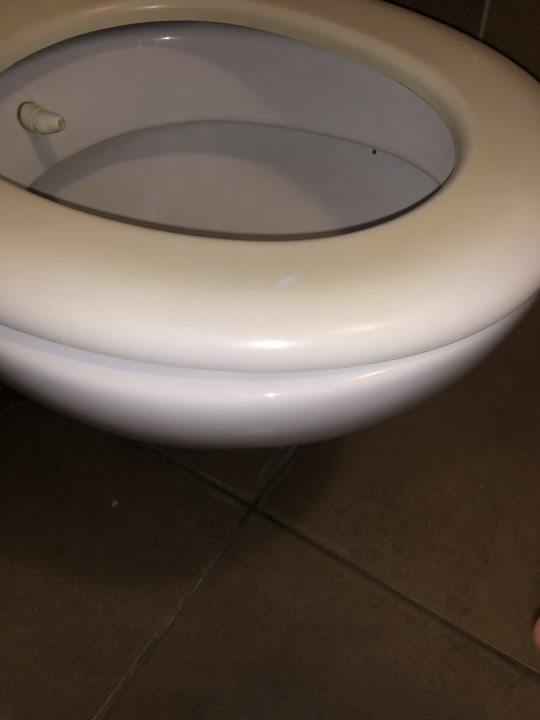 Zimmer Hotel Pine Bay Holiday Resort