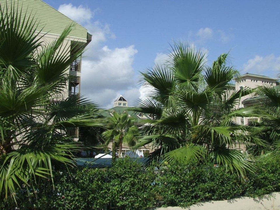 Blick auf das Hotel Can Garden Resort