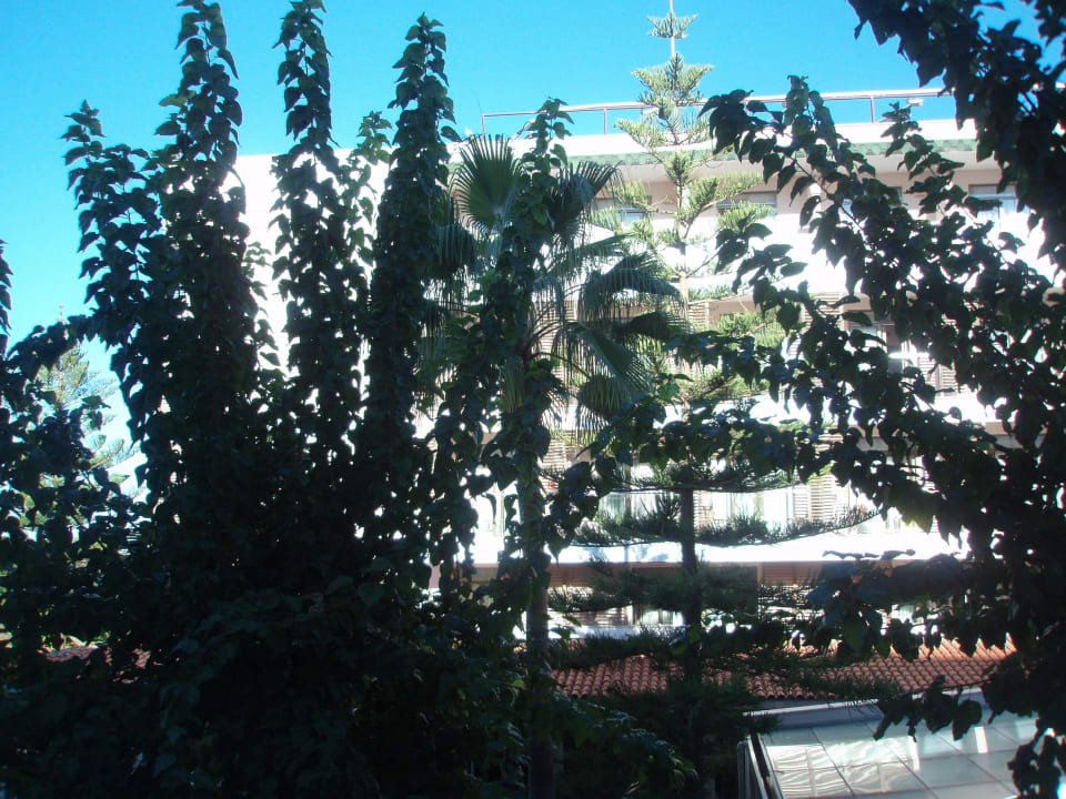 Aussicht Balkon Zimmer 123 Side Star Beach