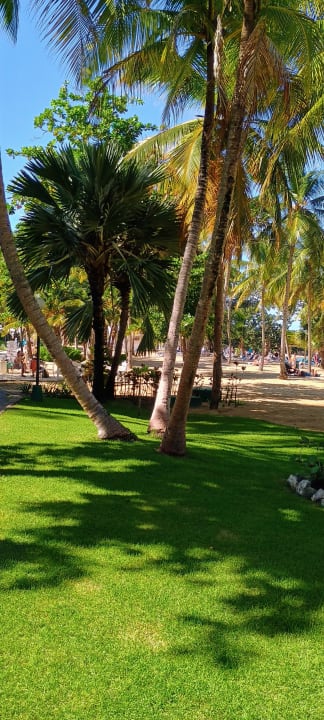 Strand Playabachata Hotel