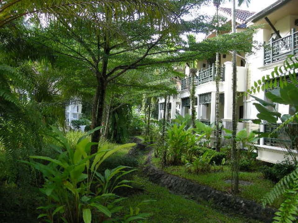 Zimmer liegen schön im Schatten. Baan Khaolak Beach Resort