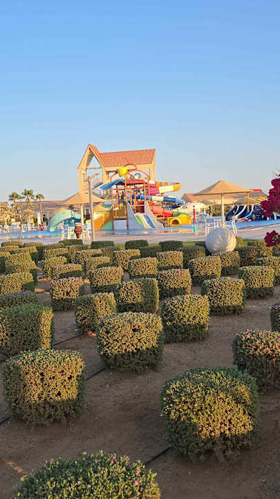 Gartenanlage Pickalbatros Sea World Resort - Marsa Alam