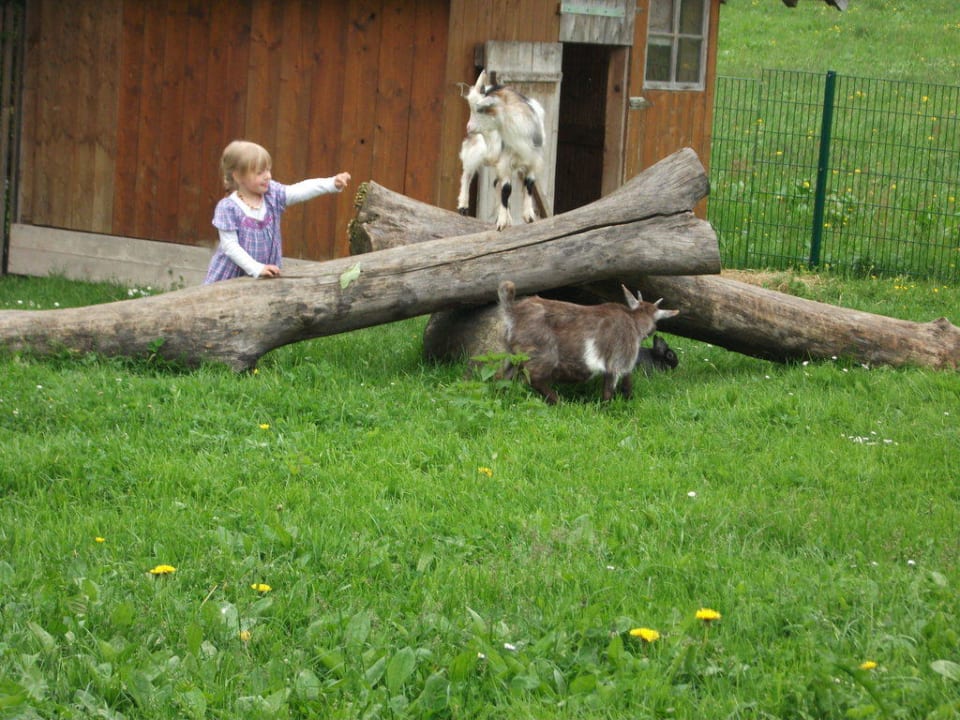 Streichelgehege Ferienhof Schoppa-Haisl