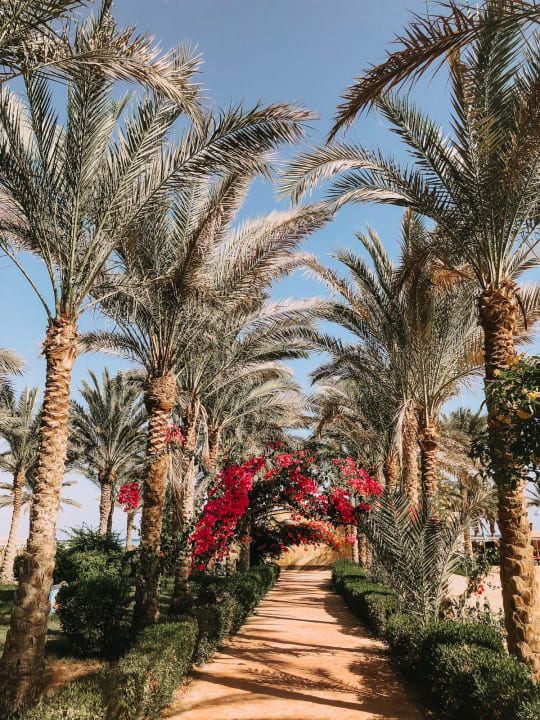 Gartenanlage Dream Lagoon Resort & Aqua Park