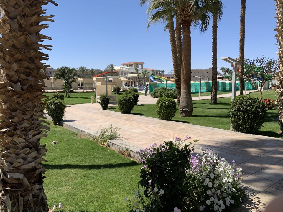 Gartenanlage Beach Albatros Resort