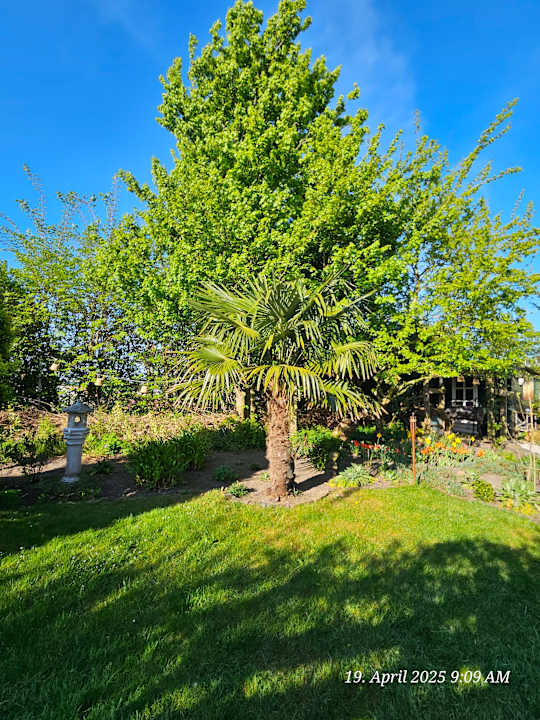 Gartenanlage Wellness Bed & Breakfast Pergamo