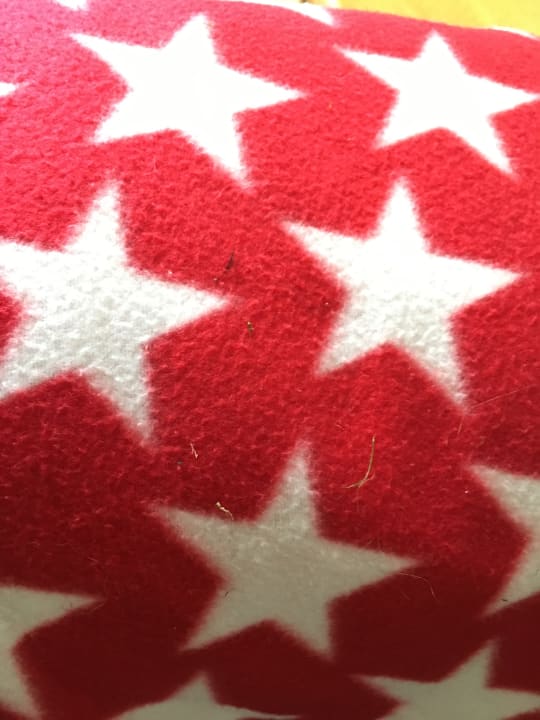 Zimmer Landal Grønhøj Strand Resort