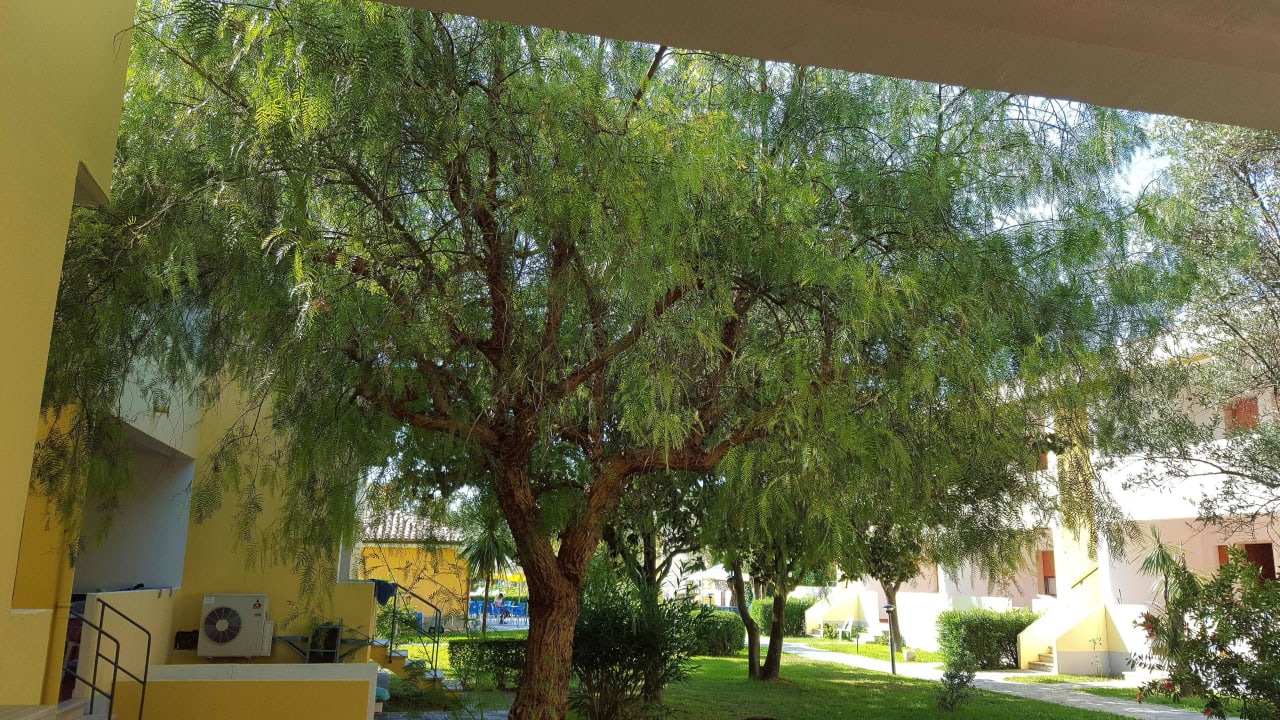 Blick von der Terrasse Villaggio Triton