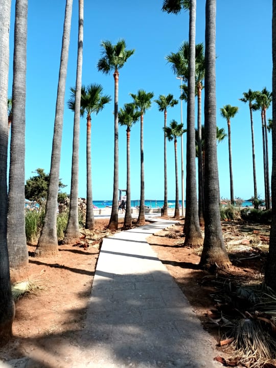 Gartenanlage Hipotels Mediterraneo Club