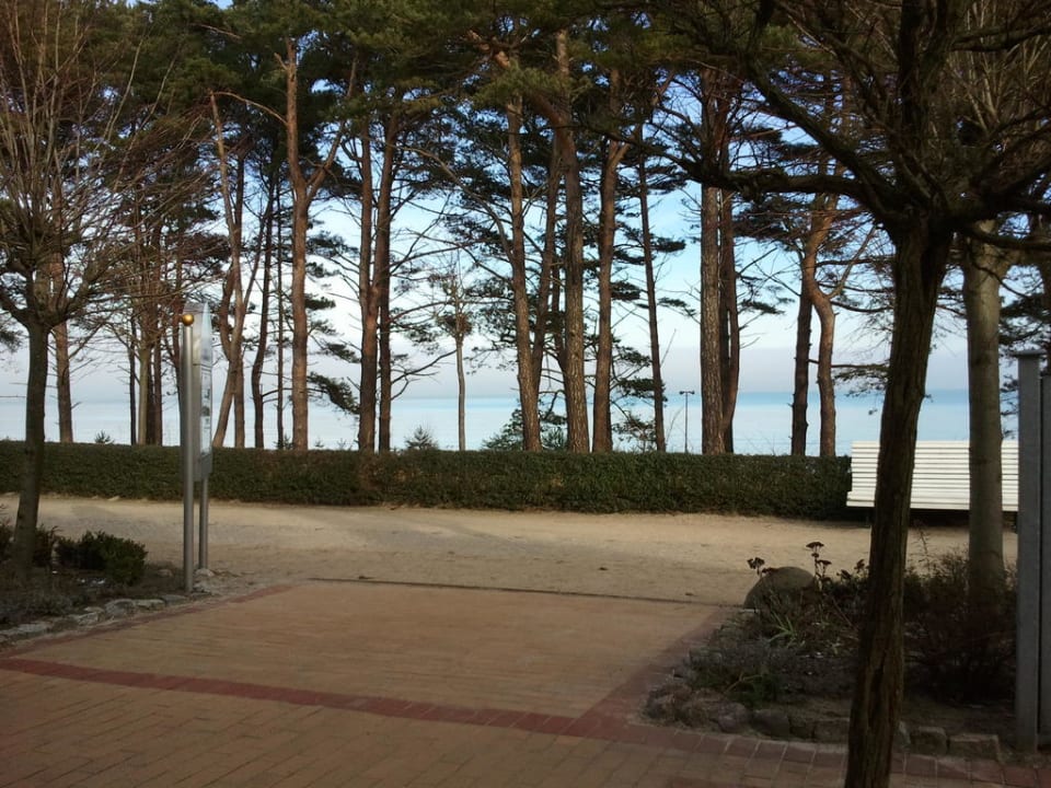 Blick auf den Strand IFA Rügen Hotel & Ferienpark