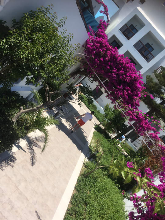 Gartenanlage TUI BLUE Oceanis Beach and Spa Resort