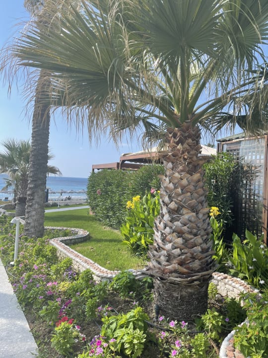 Außenansicht Rodos Palladium Leisure & Wellness