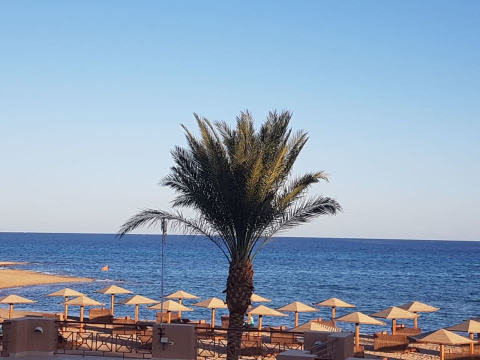 Schöner Strand und vernünftige Liegen super Blick  Shams Prestige Abu Soma-Adults Only