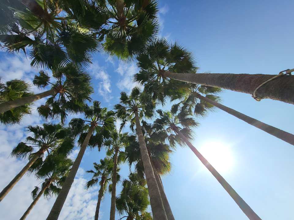 Außenansicht Delfina Tropic Beach