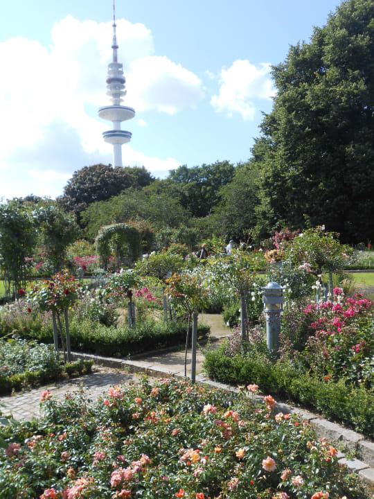 Gartenanlage Mercure Hotel Hamburg Mitte