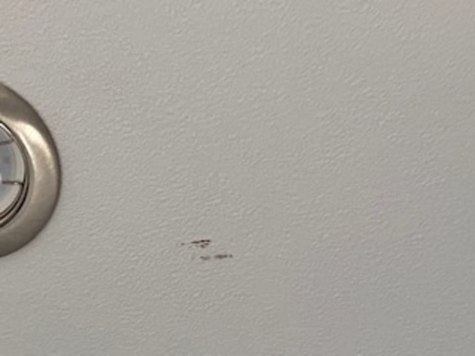 Zimmer Hotel Park Inn Antwerpen