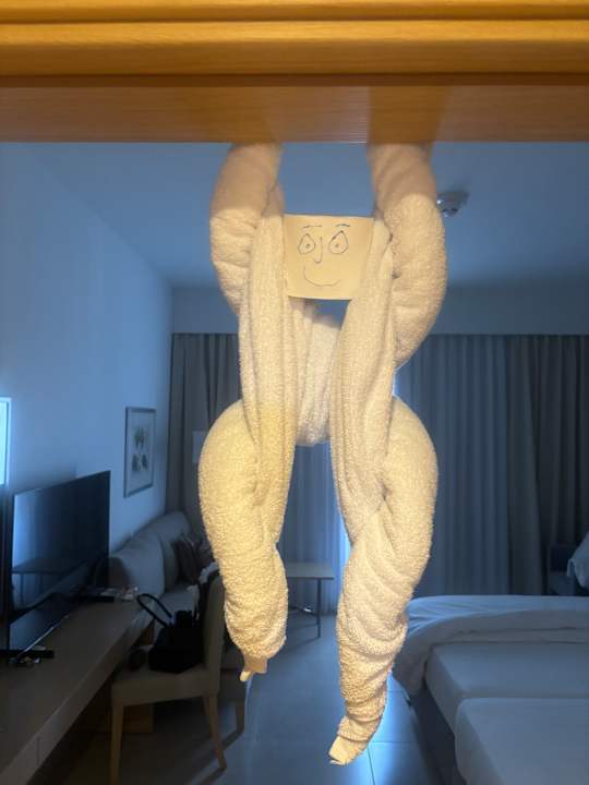 Zimmer JAZ Elite Asteria