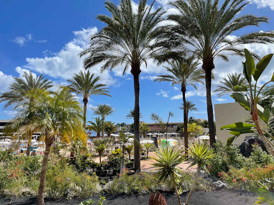Gartenanlage Iberostar Waves Gaviotas Park