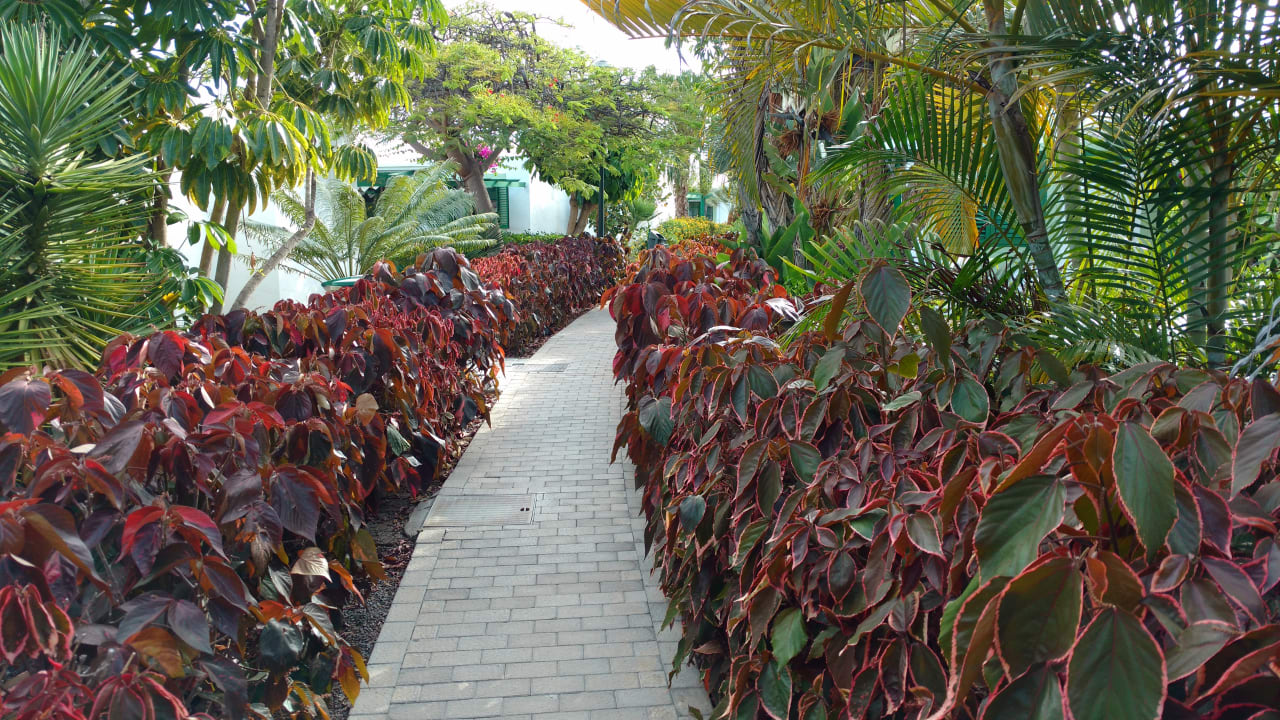 Gartenanlage Bungalows Cordial Sandy Golf