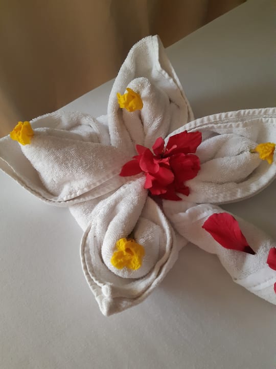 Zimmer Panorama Bungalows Resort El Gouna