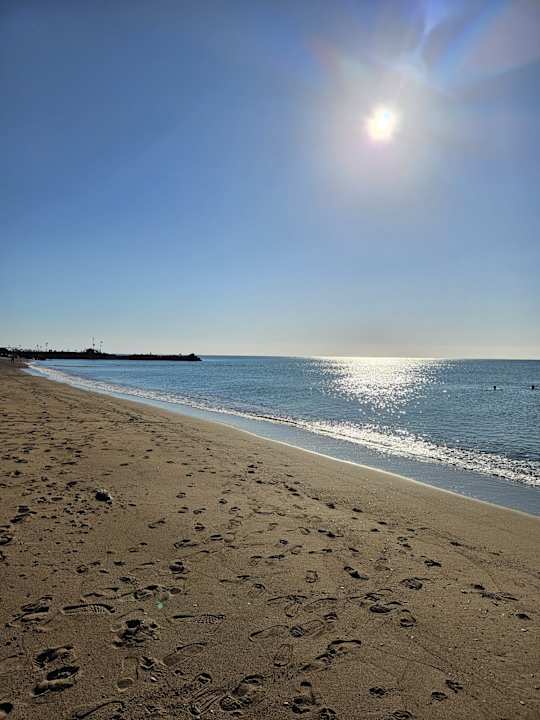 Strand Delphin BE Grand