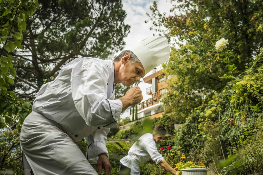 Der Küchenchef beim Kräuter sammeln Hotel Golserhof