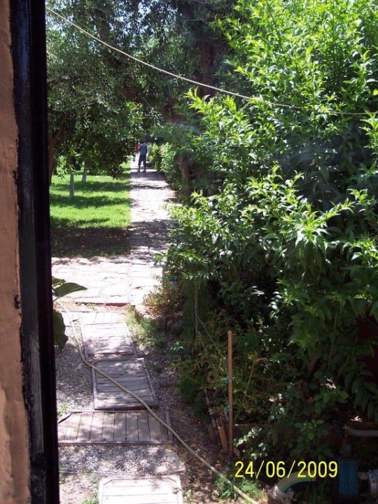Weg zum Strand Sayanora Hotel