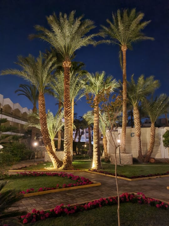 Gartenanlage Regina Resort and Aqua Park Hurghada