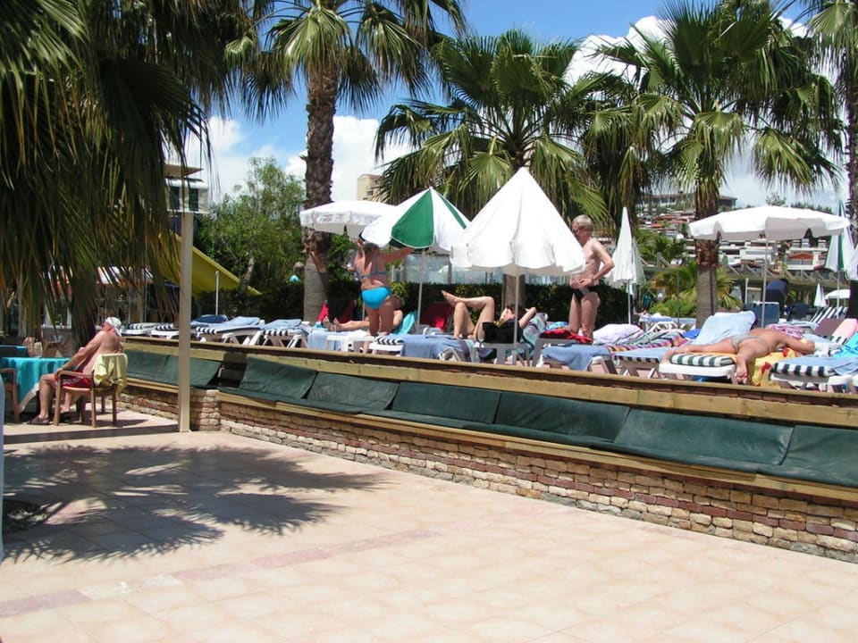 Pool Trendy Palm Beach (Adults Only, 16+)