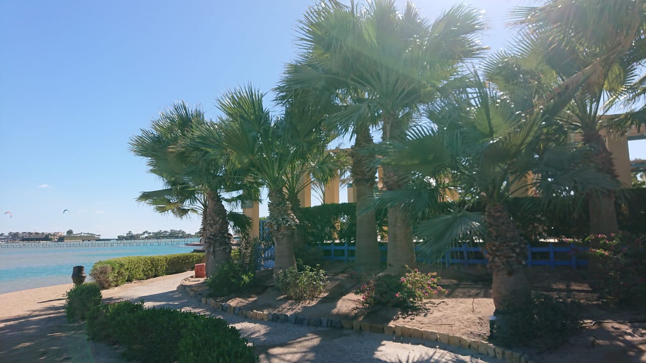 Gartenanlage Sheraton Miramar Resort El Gouna