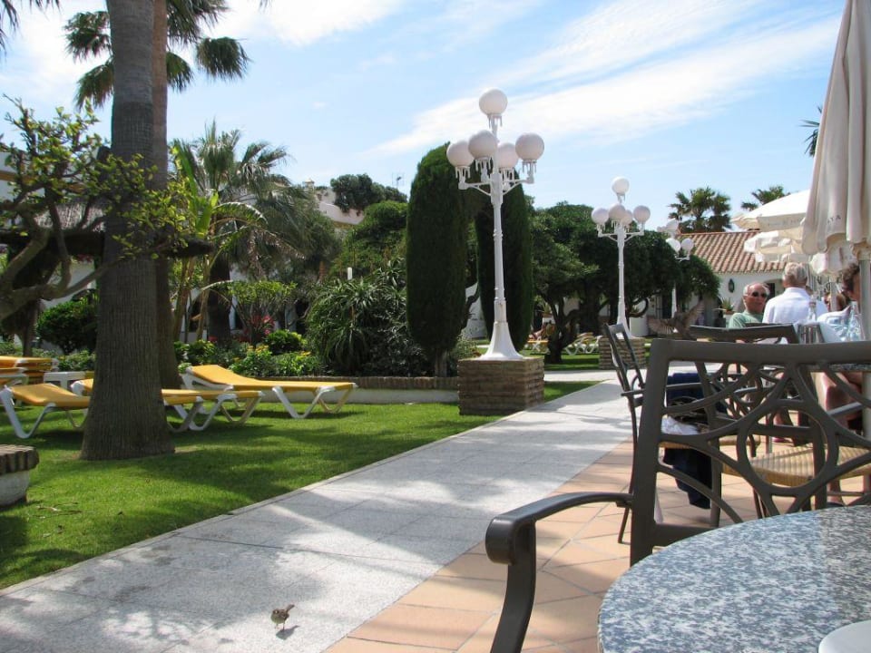Gartenbereich am Pool Hotel Playa de la Luz