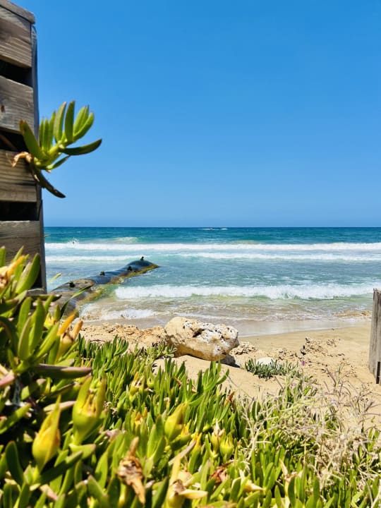 Strand Cactus Beach