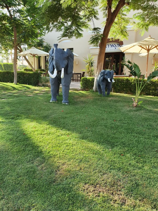 Außenansicht Hotel JAZ Makadi Star & Spa