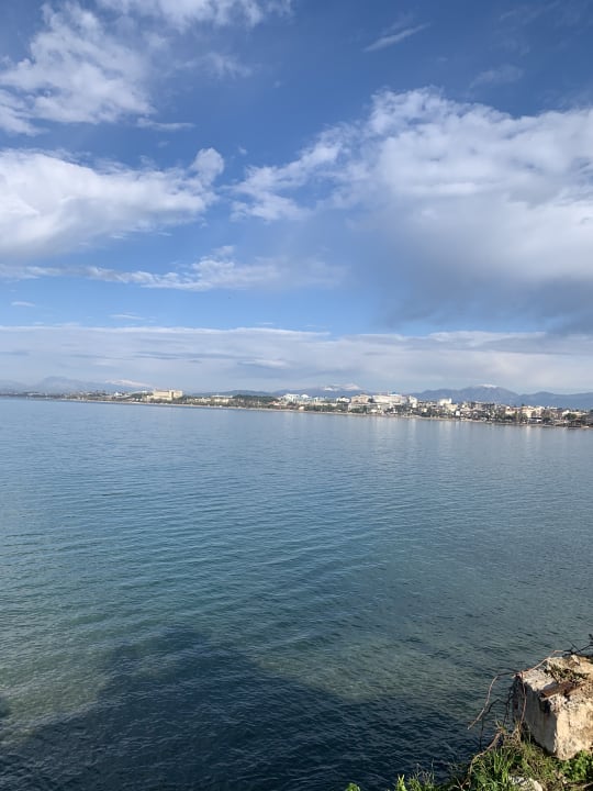 Strand Acanthus Cennet Barut Collection