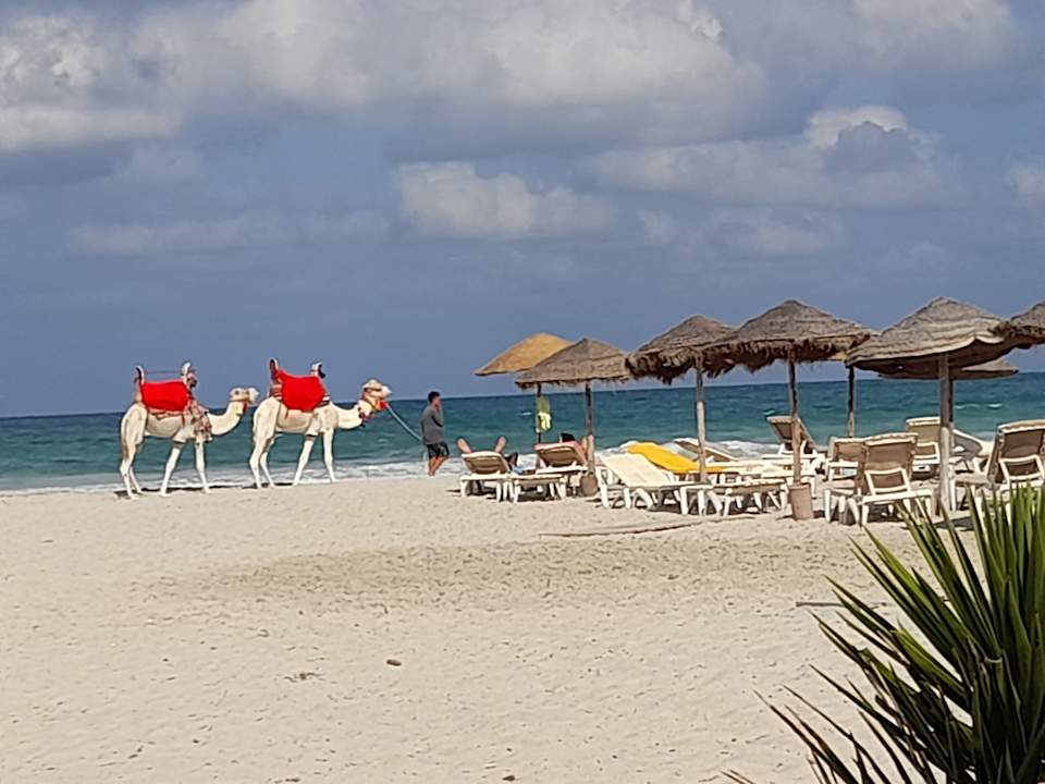 Strand Djerba Aqua Resort