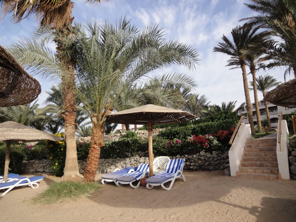 Kein Liegen reservieren nötig Fort Arabesque Resort, Spa & Villas