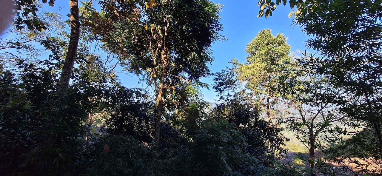 Gartenanlage Pu Luong Eco Garden