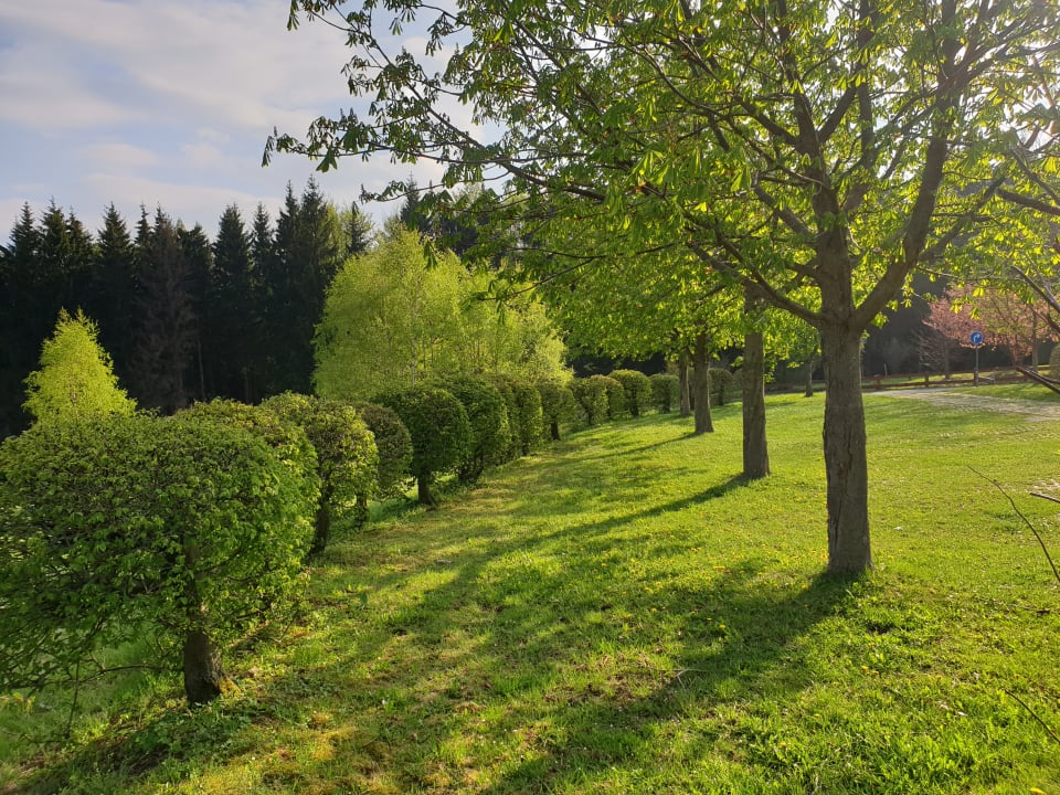 Gartenanlage Berghotel Drei Brüder Höhe