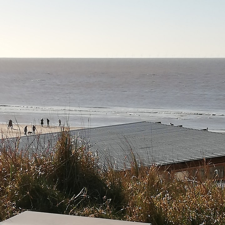 Ausblick Center Parcs Park Zandvoort - Ferienhäuser