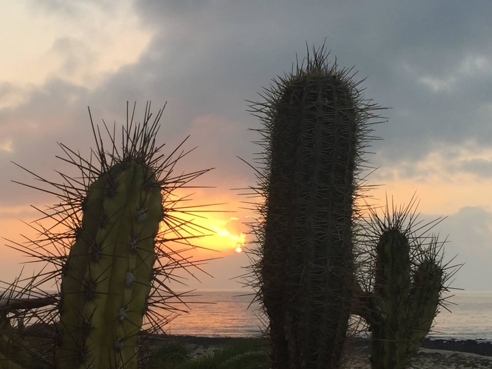 Salinas Paradisus by Meliá Salinas Lanzarote