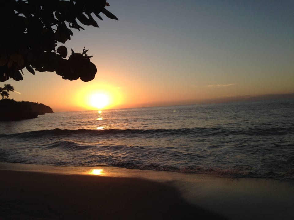 Sonnenaufgang Bahia Principe Grand Samana - Adults Only