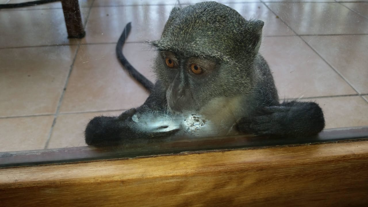 Hotel Baobab Beach Resort Baobab Beach Resort & Spa