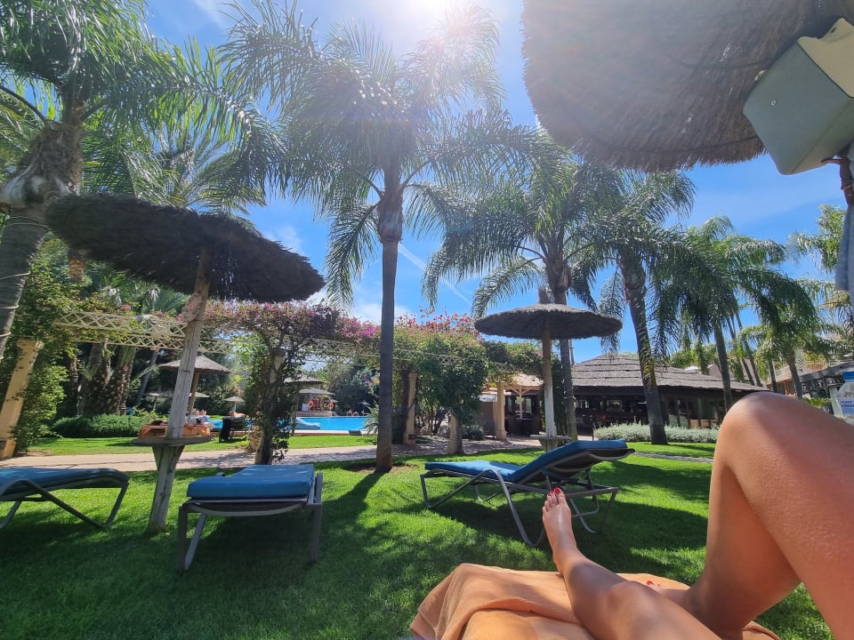 Gartenanlage Lindner Hotel Mallorca Portals Nous, part of JdV by Hyatt