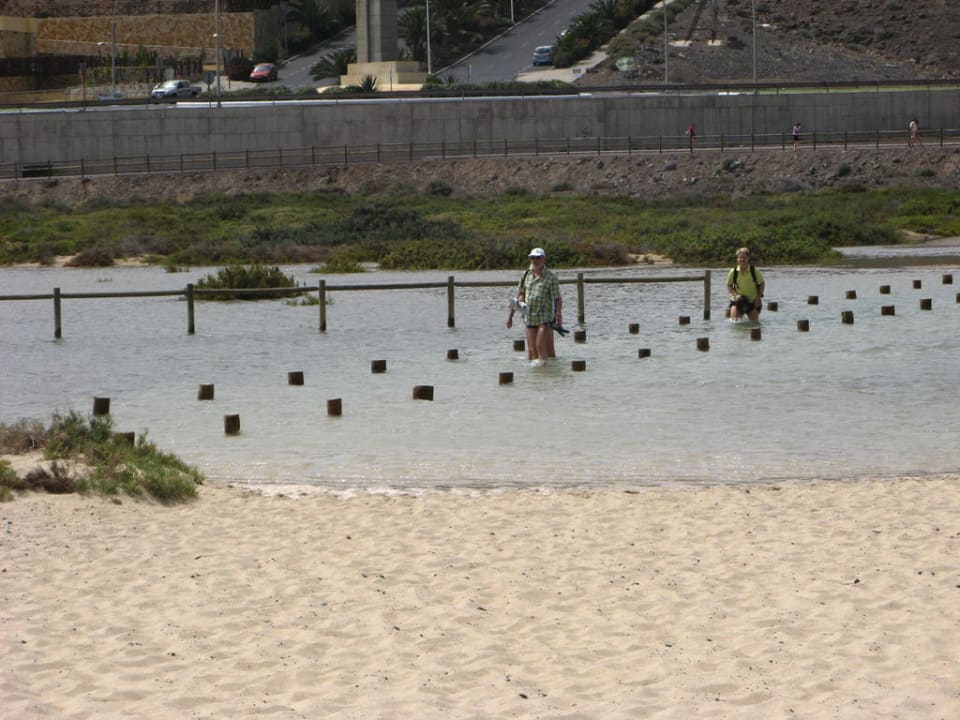 Flut in den Salzwiesen Occidental Jandía Playa