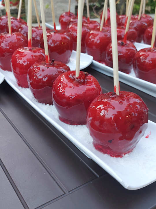 Gastro Dizalya Palm Garden