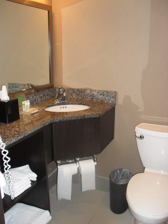 Schönes, sauberes Bad Holiday Inn Toronto Downtown Centre