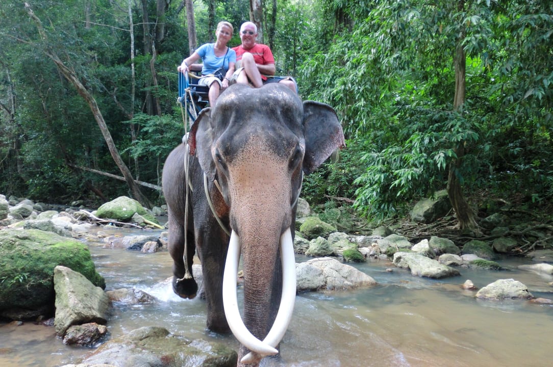 Beim Elefantenreiten Samui Natien Resort
