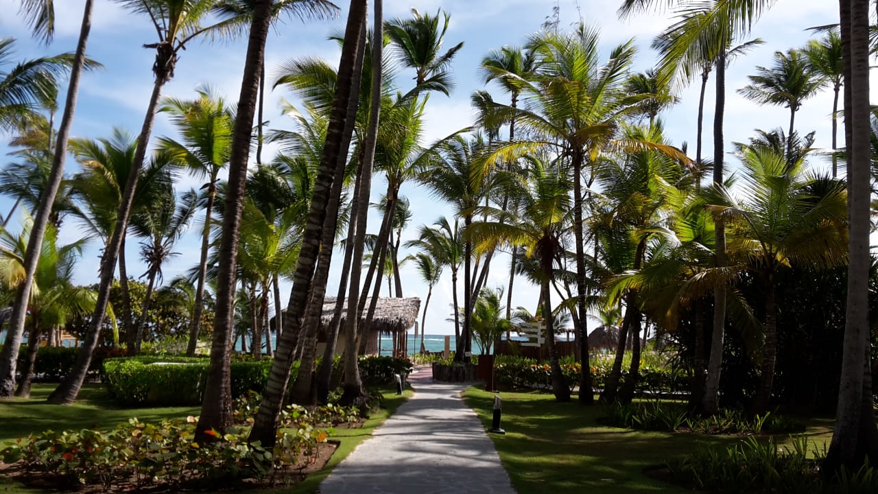 Gartenanlage Hotel Grand Palladium Palace Resort, Spa & Casino