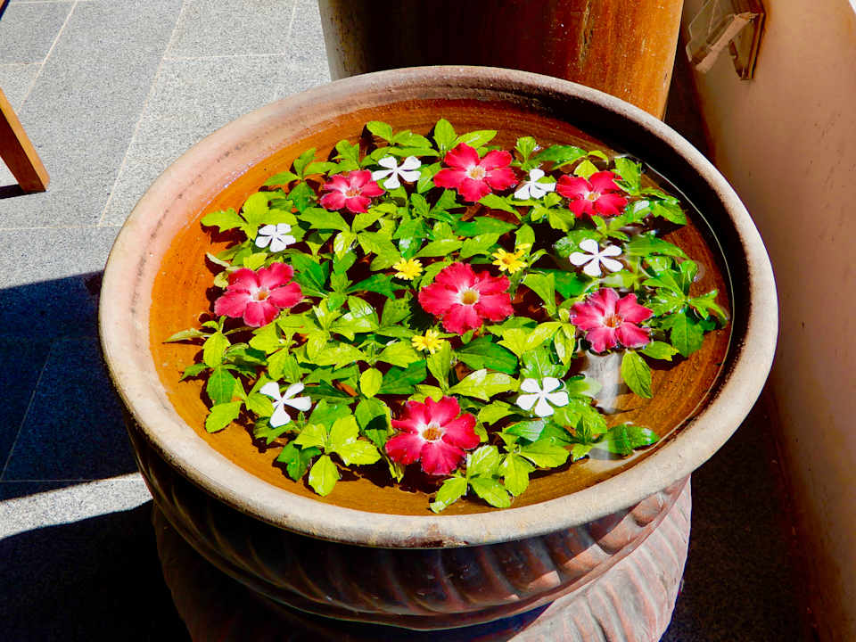 Sonstiges Hotel Zfreeti